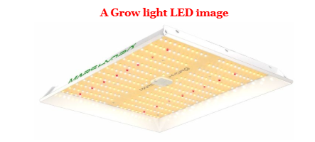 A Grow light LED